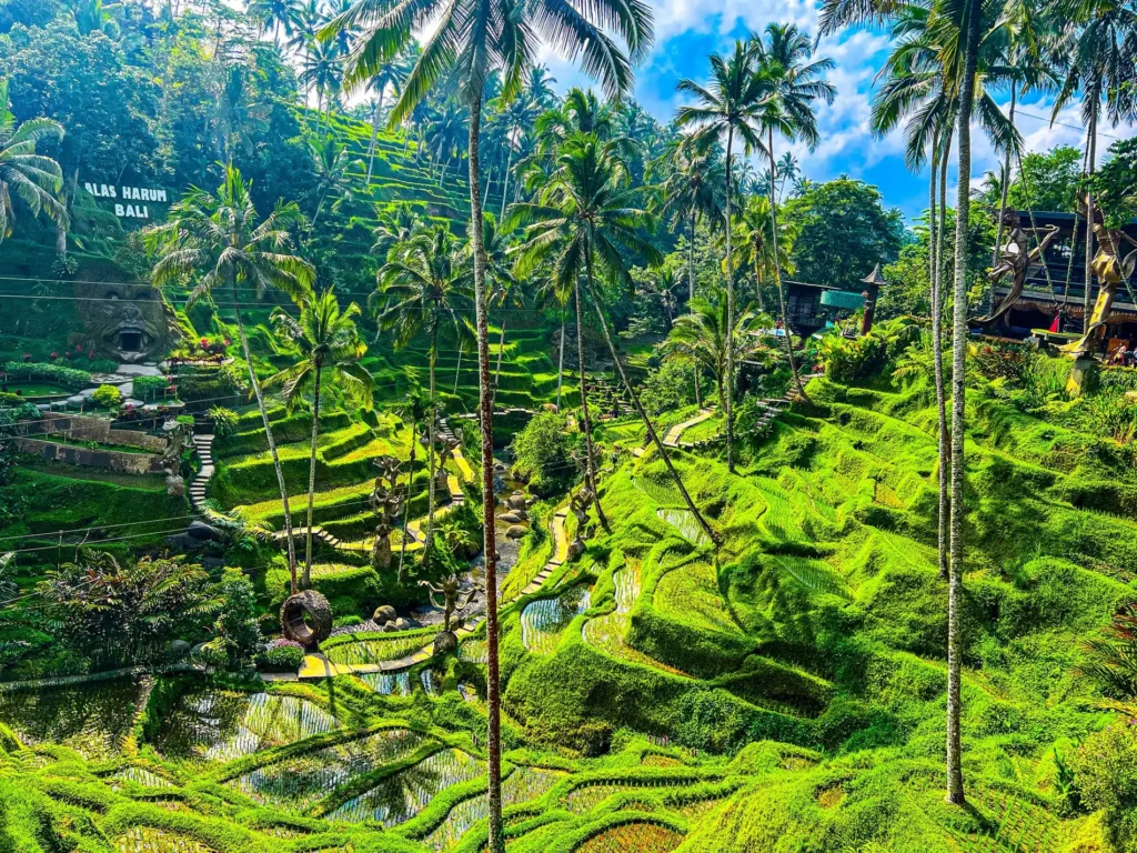 MALAISIE – BALI 29 JUILLET 2026
